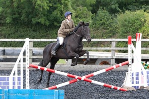 Class 3 -  Fences not above 2'3